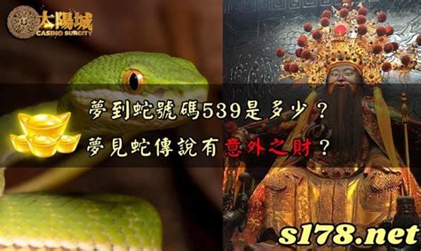 夢到小鳥號碼|【夢到小鳥號碼】夢到啥都不奇怪！其中小鳥預示財富！ – 駱影旎。